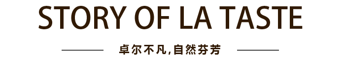 BG大游集团(中国)唯一官方网站