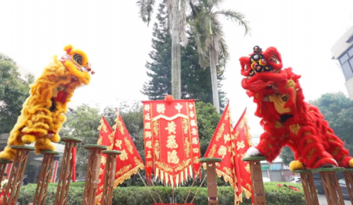 龙腾狮跃，共铸鲜丽将来！